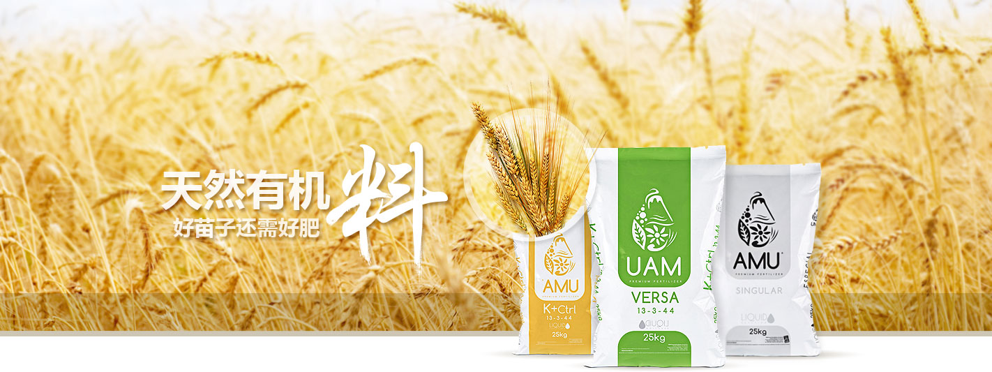 imtoken钱包_imtoken下载_imToken钱包苹果版APP下载